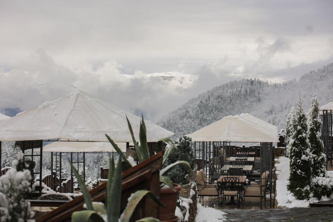 Alpine Castle Hotel Dilijan Bagian luar foto