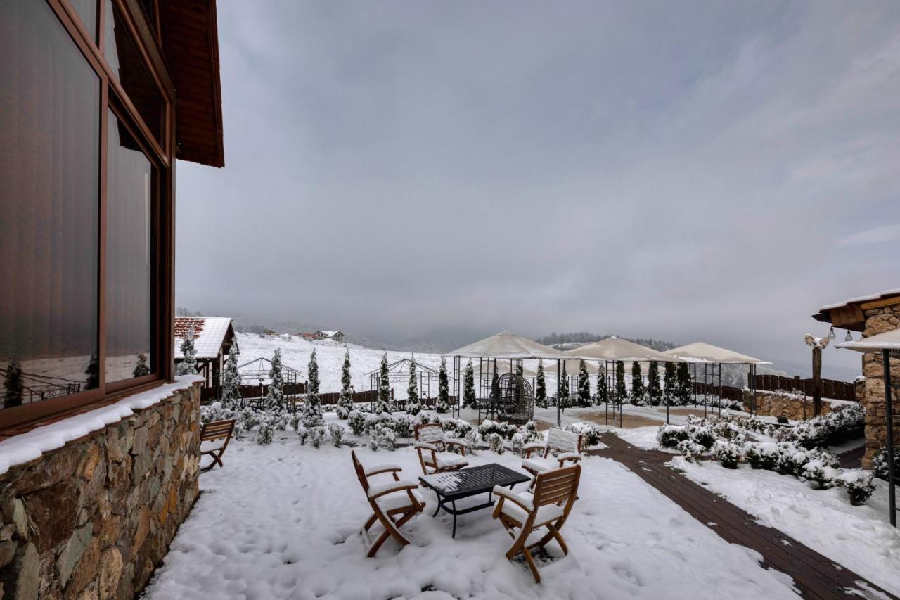 Alpine Castle Hotel Dilijan Bagian luar foto